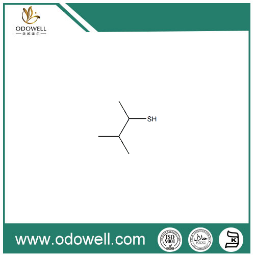 3-மெத்தில் -2-புட்டானெதியோல்