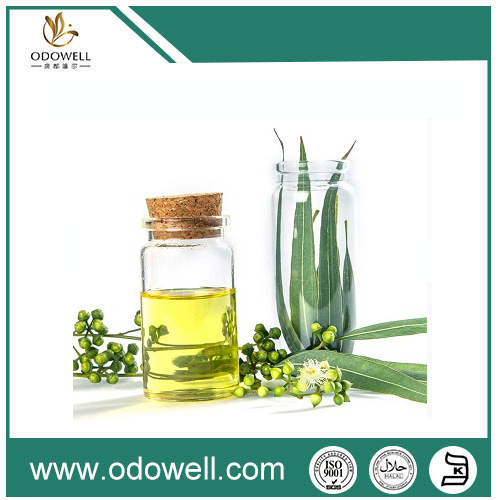 எங்கள் பிரீமியம் யூகலிப்டஸ் எண்ணெயை (யூகலிப்டஸ் குளோபுலஸ்) அறிமுகப்படுத்துகிறது - இயற்கை, உண்மையான மற்றும் பல்துறை
