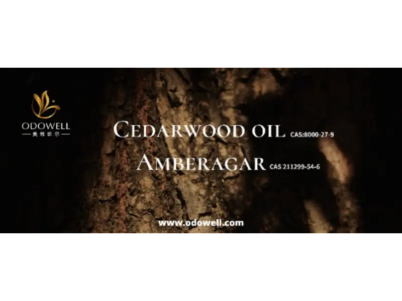 உங்கள் கையொப்ப வாசனை உண்மையிலேயே தனித்துவமானதா?