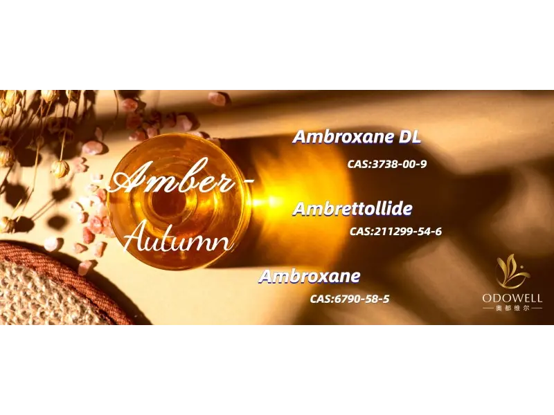 2025 ஆம் ஆண்டிற்கான சிறந்த பாலின நடுநிலை வாசனைகள் என்ன