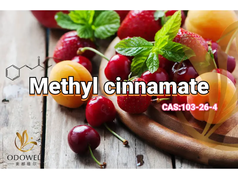 Methyl Cinnamate – ODOWELL's Sweet Fruity-Balsamic Ester for Oriental Fragrances