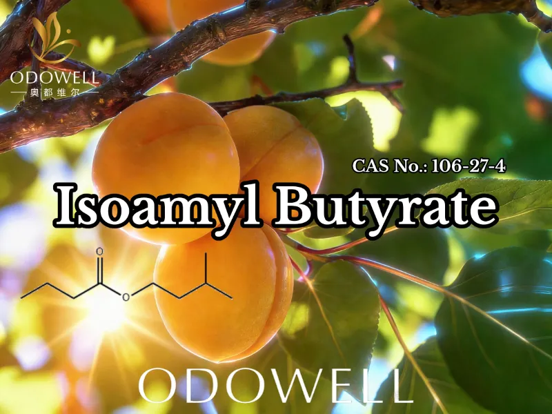 ODOWELL ஐசோமைல் ப்யூட்ரேட்டை (CAS 106-27-4) சுவை மற்றும் நறுமணப் பயன்பாடுகளுக்கு பரிந்துரைக்கிறது