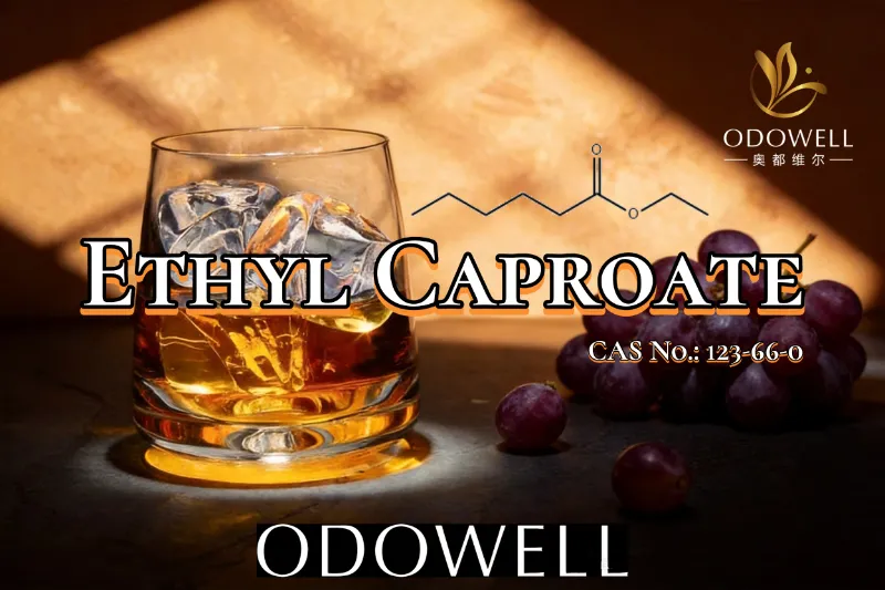 பழம் மற்றும் ஒயின் போன்ற சுவை பயன்பாடுகளுக்கு ODOWELL Ethyl Caproate ஐ பரிந்துரைக்கிறது