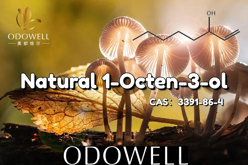 ODOWELL இயற்கையான 1-Octen-3-ol ஐ காளான் போன்ற மற்றும் மண் சுவை பயன்பாடுகளுக்கு பரிந்துரைக்கிறது